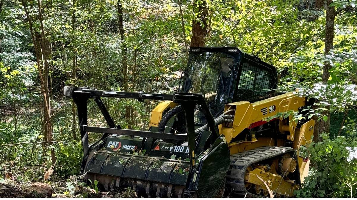 CAT 265 skid steer with HM316 forestry mulcher head clearing dense brush in Franklin, TN