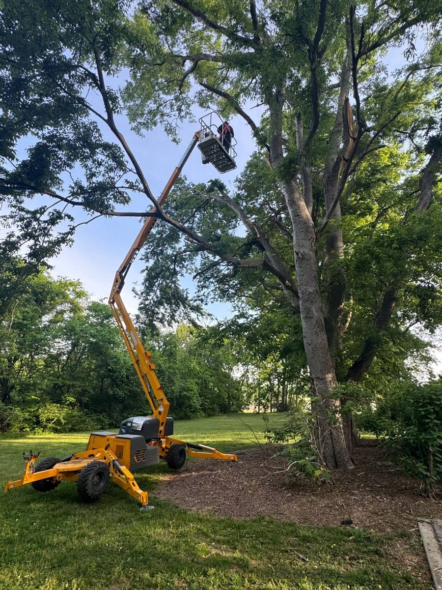 Articulating boom lift