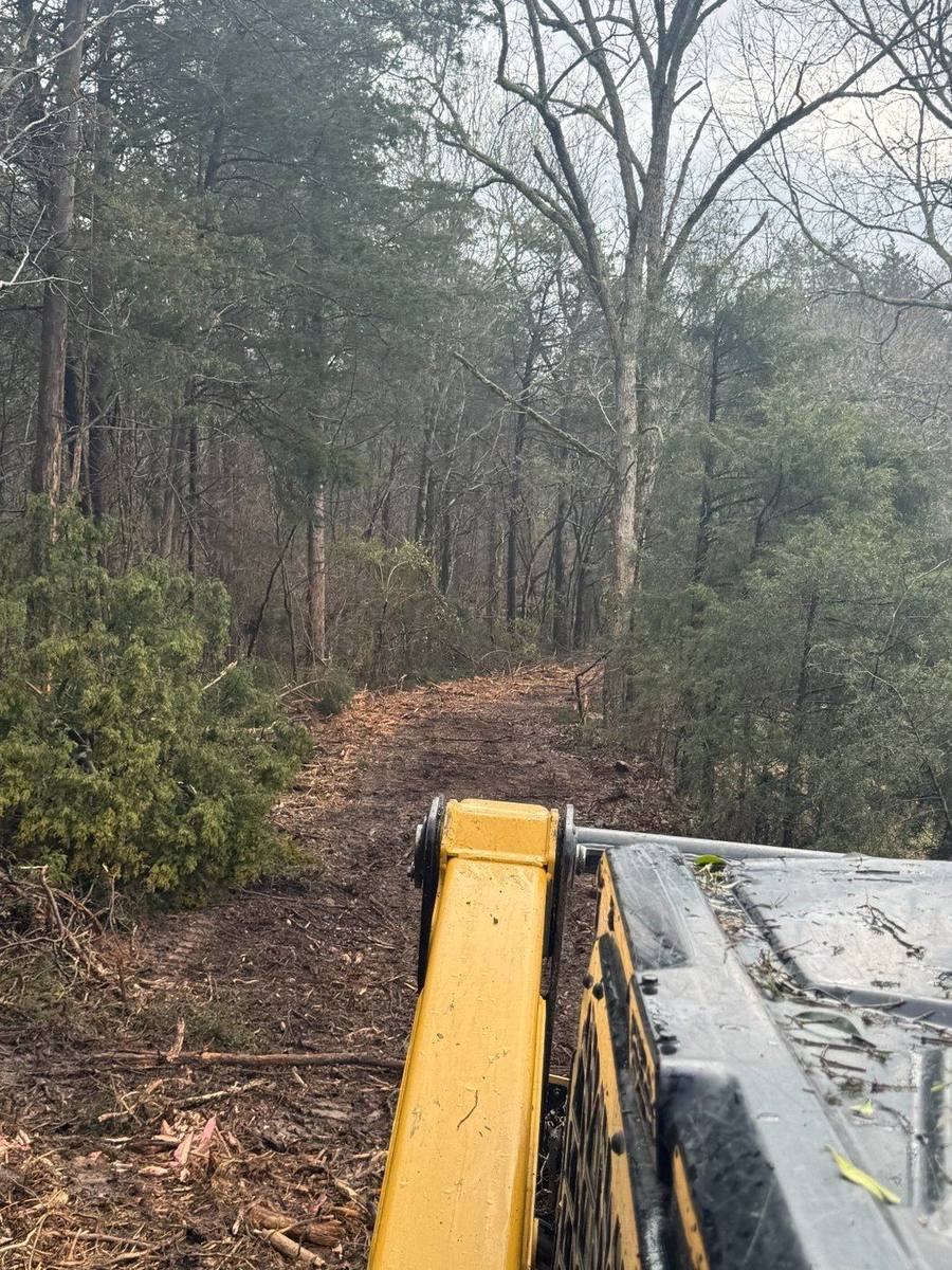 A cleared, mulched trail after forestry mulching work